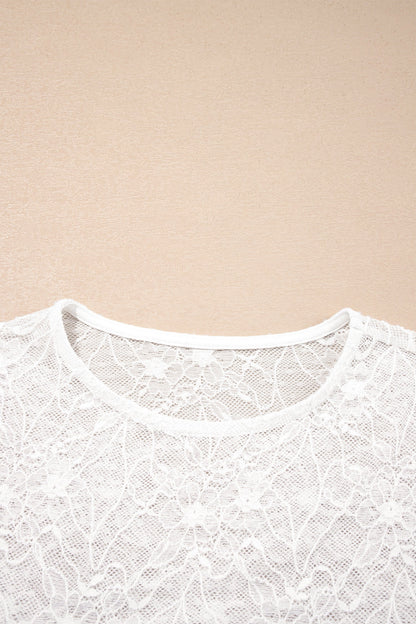 Sheer Lace Mesh Crew Neck Long Sleeve Top
