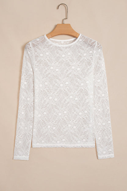 Sheer Lace Mesh Crew Neck Long Sleeve Top