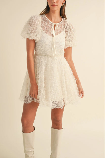 Textured Mesh Puff Sleeve Babydoll Mini Dress — Delicate Feminine Lined Statement Style - Mini Dresses