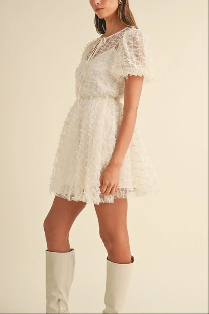 Textured Mesh Puff Sleeve Babydoll Mini Dress — Delicate Feminine Lined Statement Style - Mini Dresses