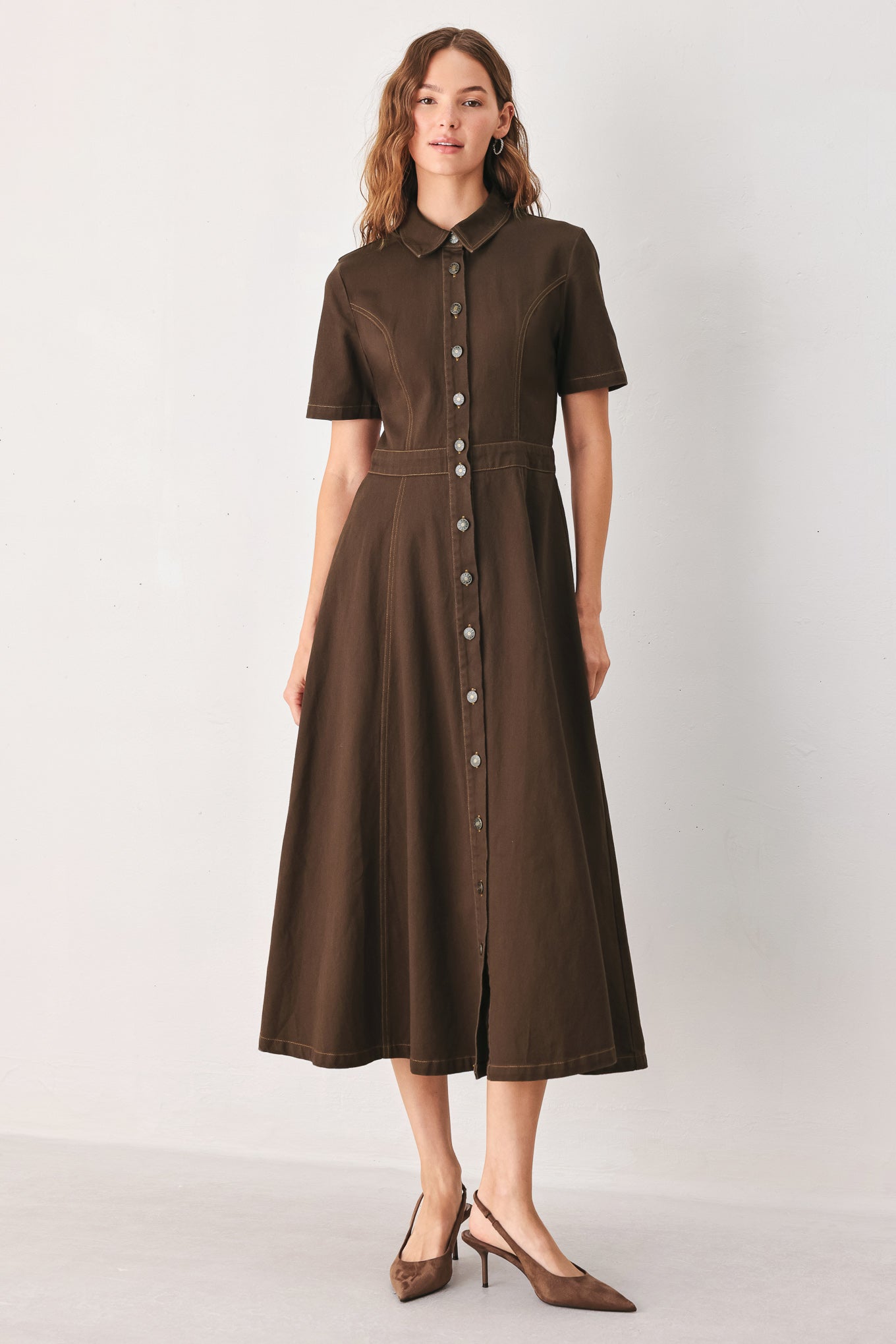 Classic Vintage Collared Everyday Midi Dress