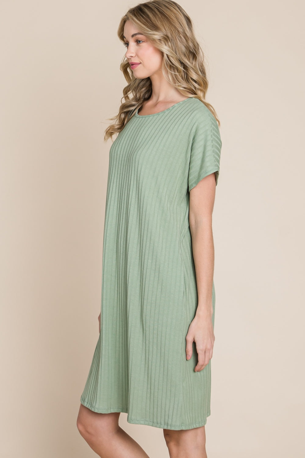 Ribbed Round Neck Short Sleeve Dress for Women | Mini Dress | Ro + Ivy
