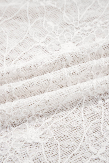 Sheer Lace Mesh Crew Neck Long Sleeve Top